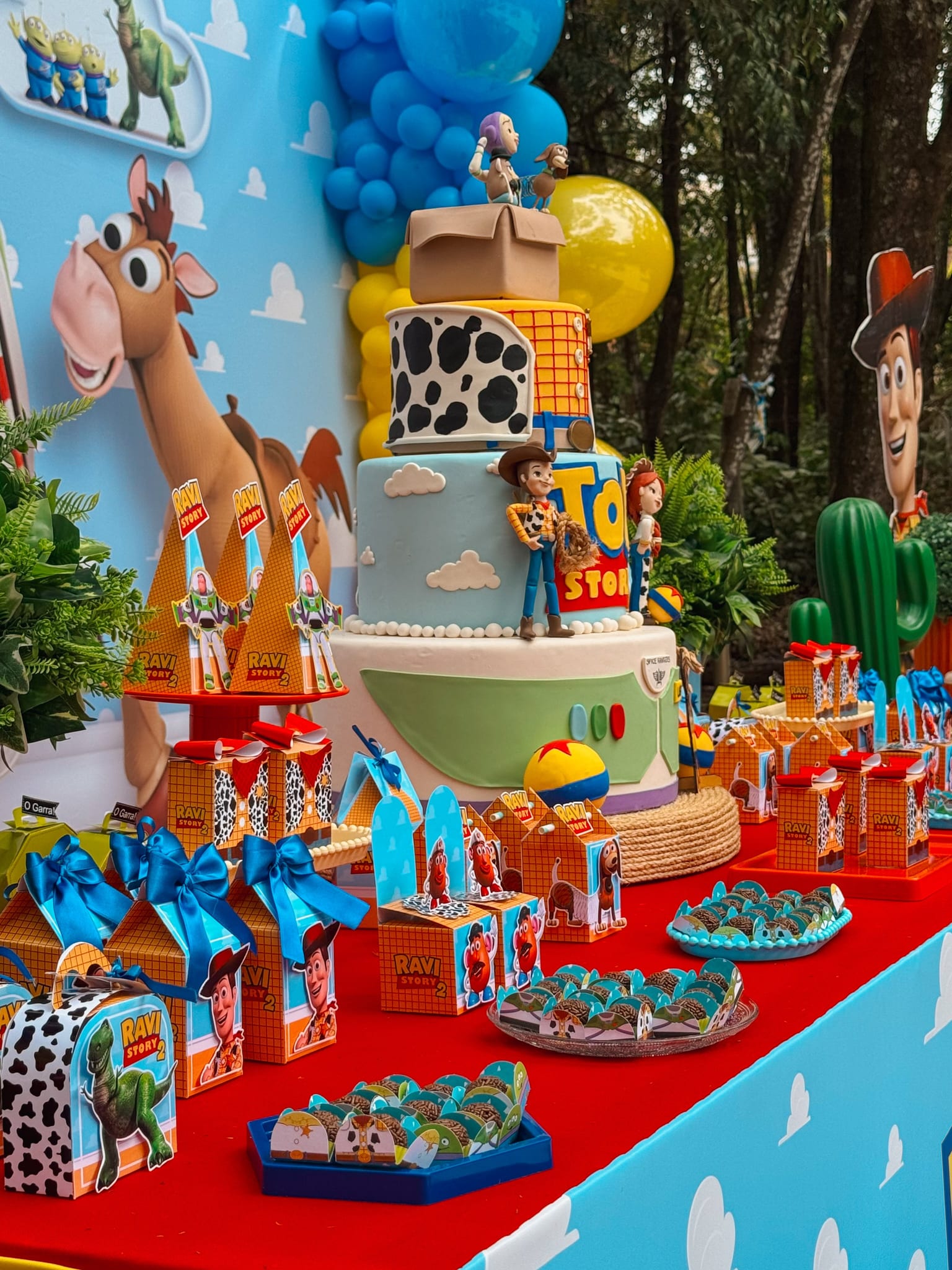 Ravi, 2 aninhos — Toy Story
